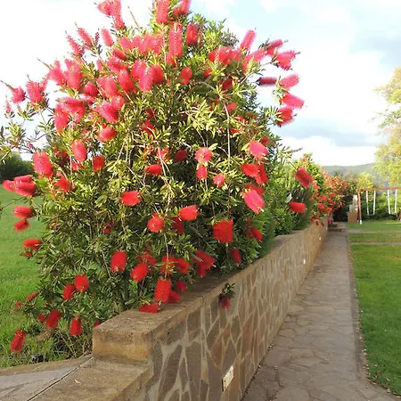 Séjour à la ferme La Merla Castiglione della Pescaia
